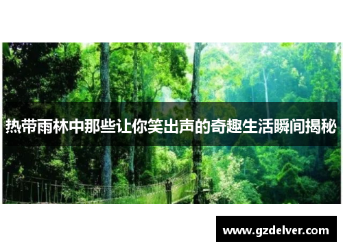 热带雨林中那些让你笑出声的奇趣生活瞬间揭秘